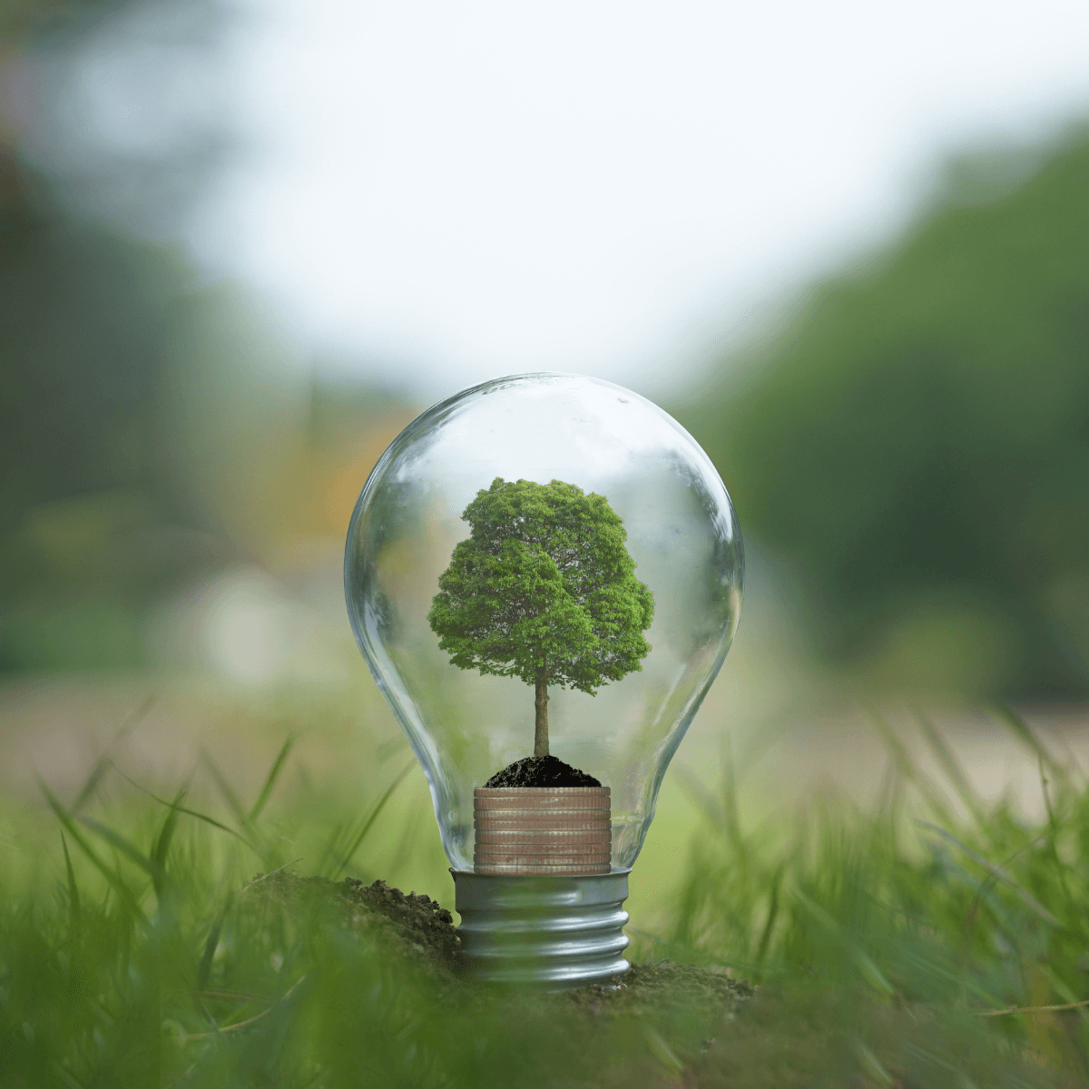 Revolutionizing Cities: How Smart Lighting Saves Energy