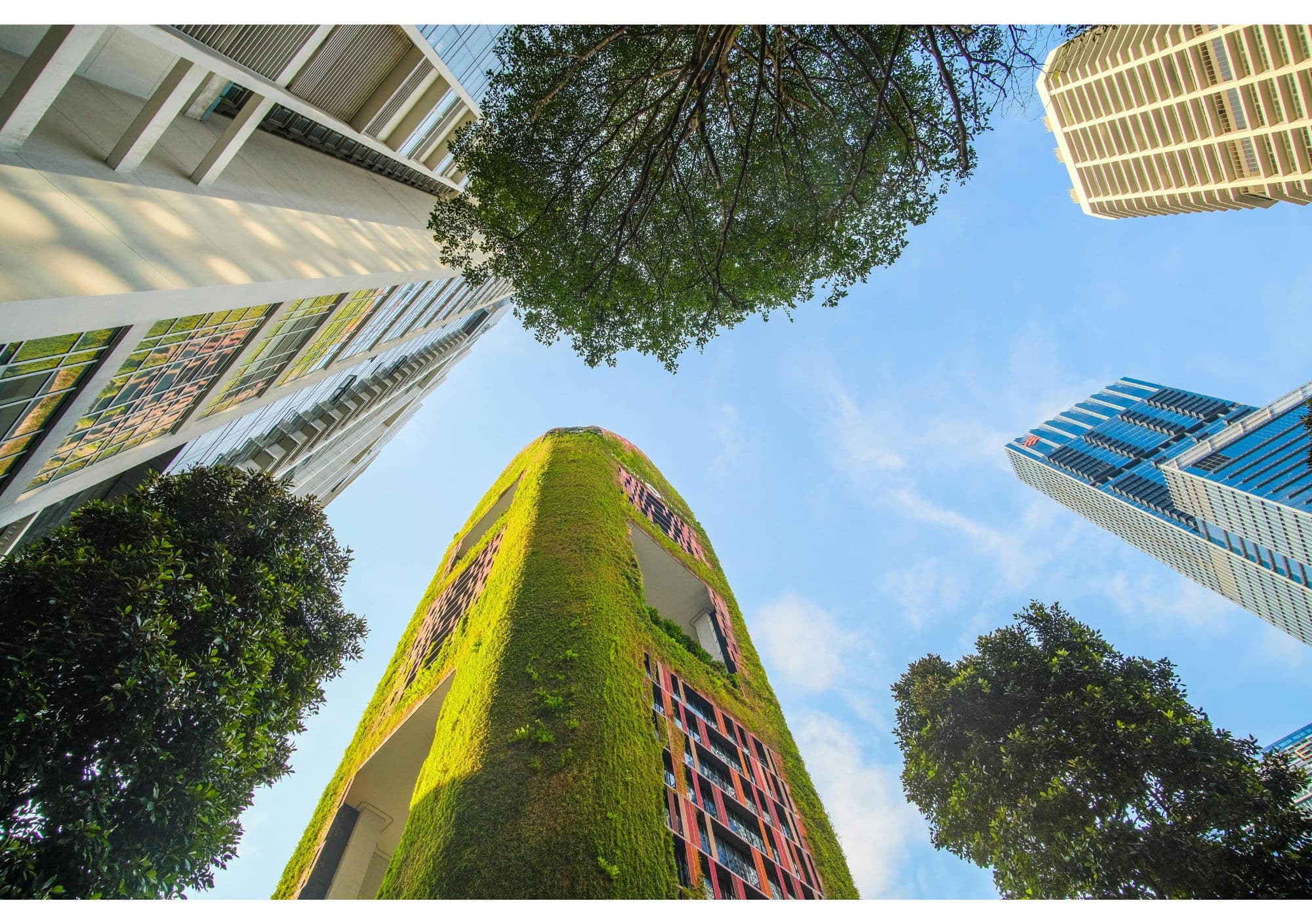The Future of Urban Sustainability: How Technology Is Enabling Greener, More Resilient Cities
