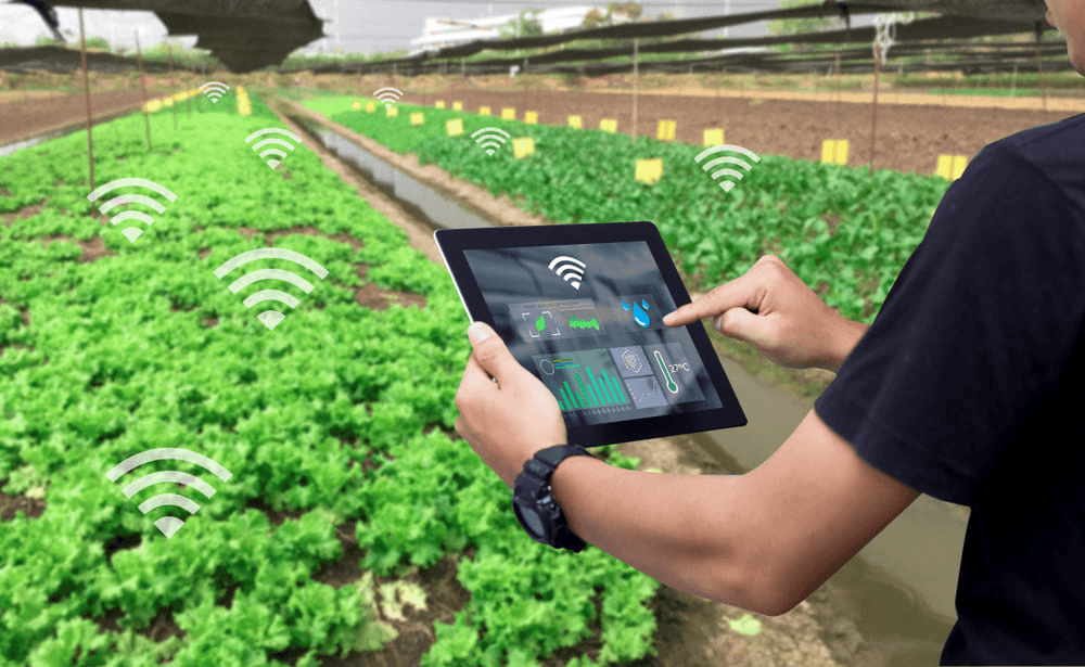 Top 5 Trends in Smart Agriculture for 2025