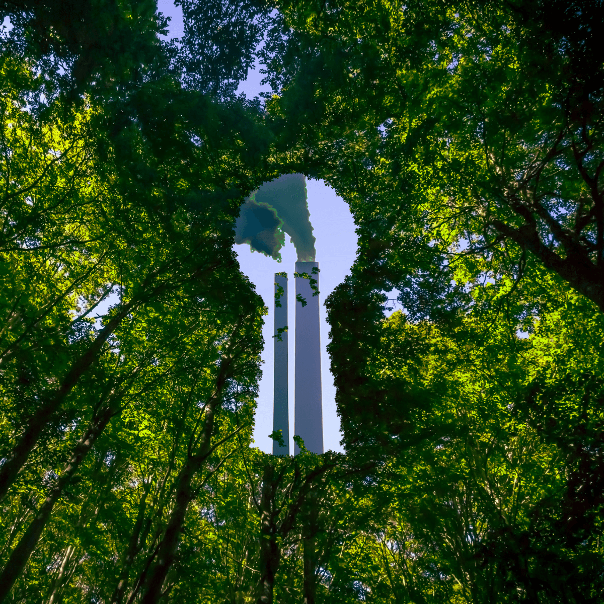 What Is Greenwashing? And How Smart Cities Can Prove Their Sustainability Efforts